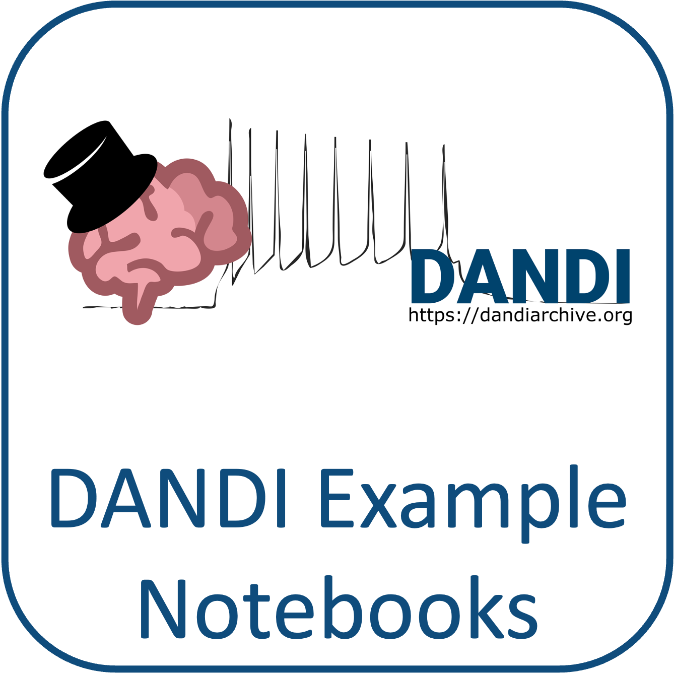 DANDI Example Notebooks